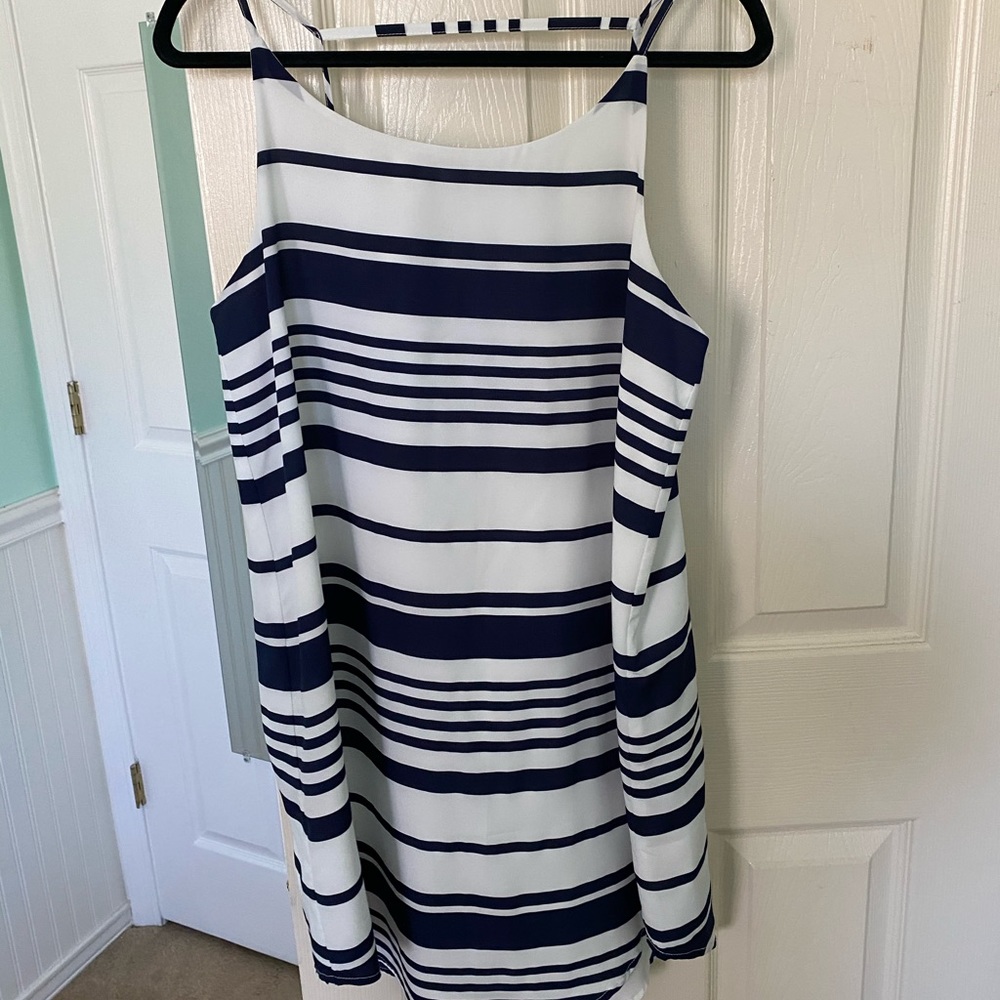 BB Dakota Dress